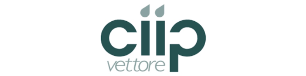 Ciip Vettore